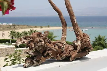 Paros Blue Dolphin 克里希阿克提