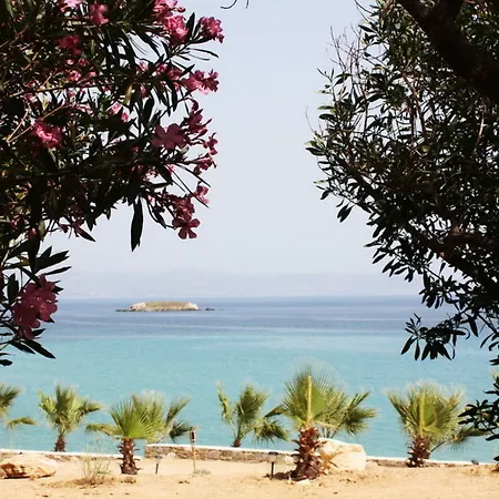 Paros Blue Dolphin 酒店 克里希阿克提